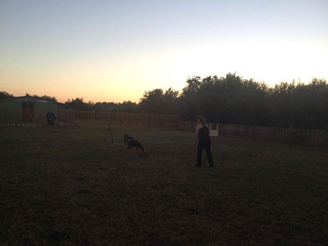 oscar dog trainer