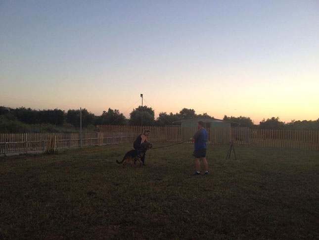 oscar dog trainer