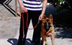 oscar dog trainer