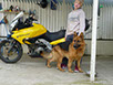 oscar dog trainer