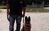 oscar dog trainer