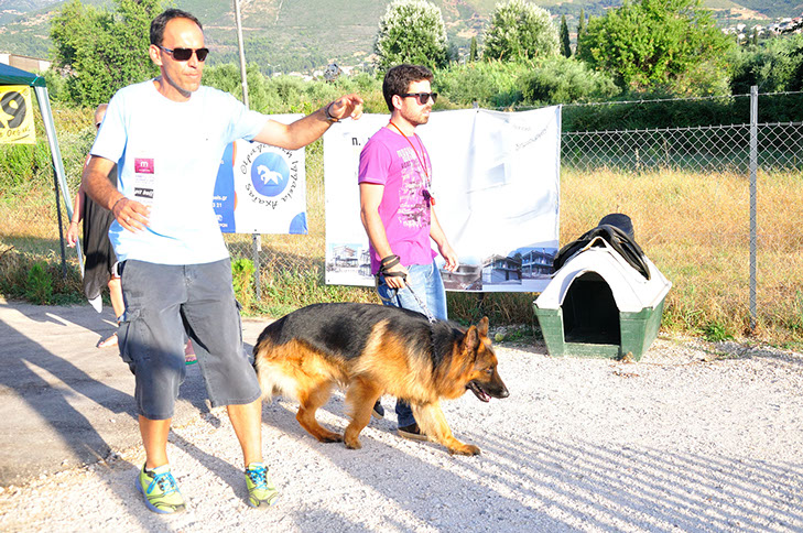 oscar dog trainer