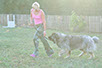 oscar dog trainer