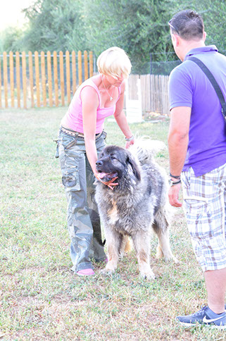 oscar dog trainer