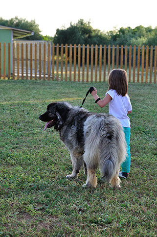 oscar dog trainer