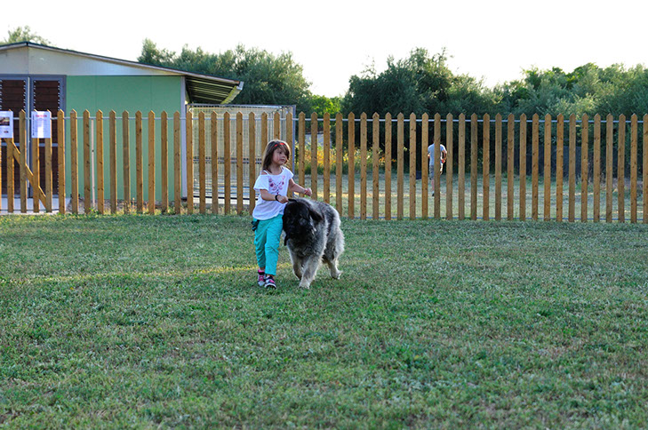 oscar dog trainer