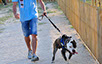 oscar dog trainer