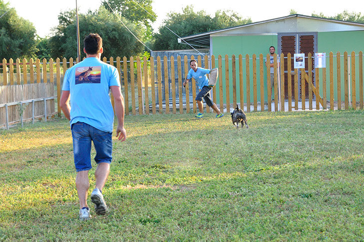 oscar dog trainer