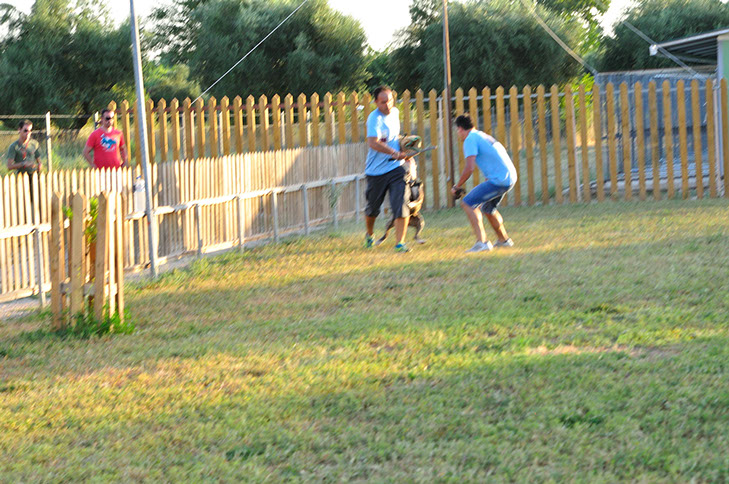 oscar dog trainer
