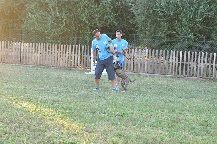 oscar dog trainer