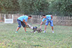 oscar dog trainer
