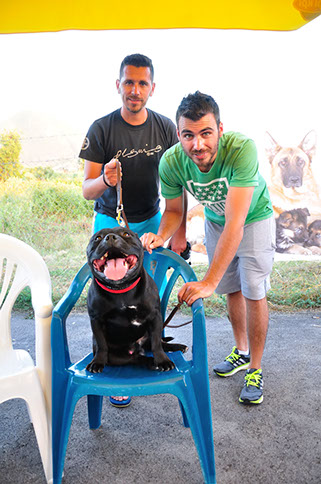 oscar dog trainer