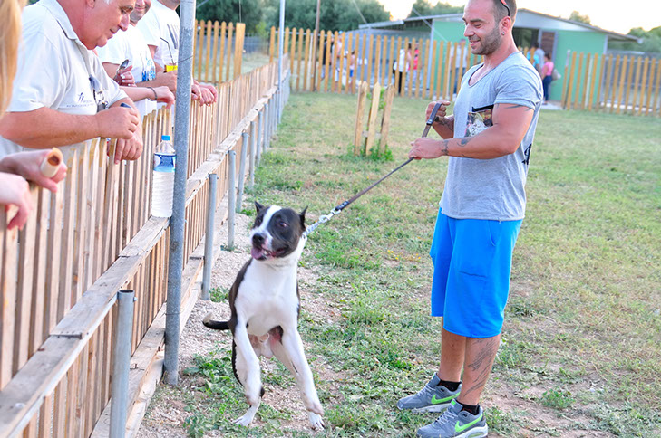 oscar dog trainer