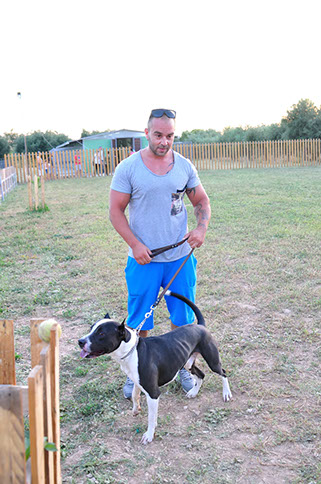 oscar dog trainer
