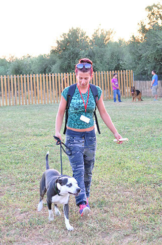 oscar dog trainer