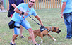oscar dog trainer