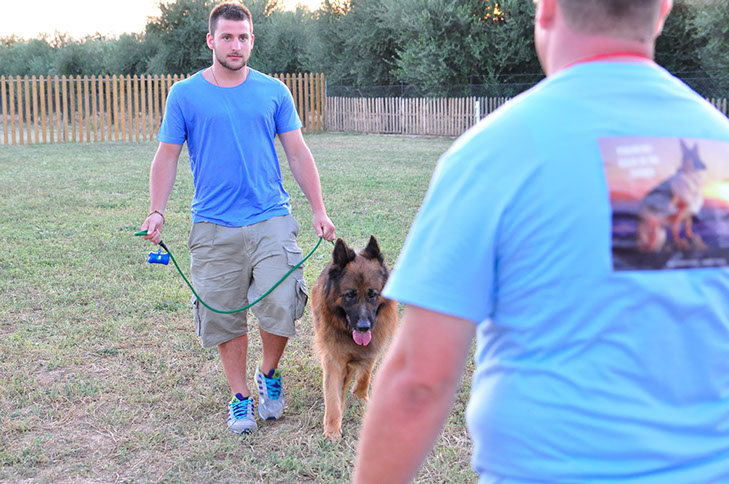 oscar dog trainer