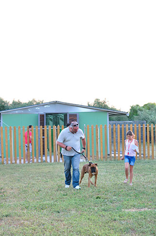 oscar dog trainer