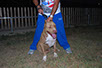 oscar dog trainer