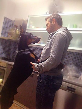 oscar dog trainer