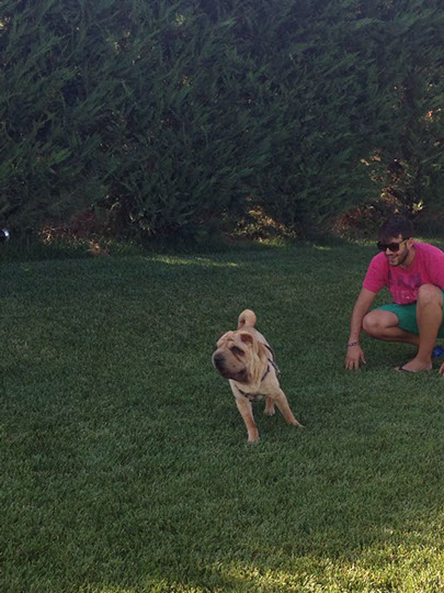 oscar dog trainer