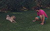 oscar dog trainer