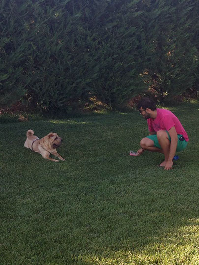 oscar dog trainer