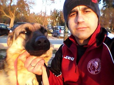 oscar dog trainer
