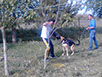 oscar dog trainer