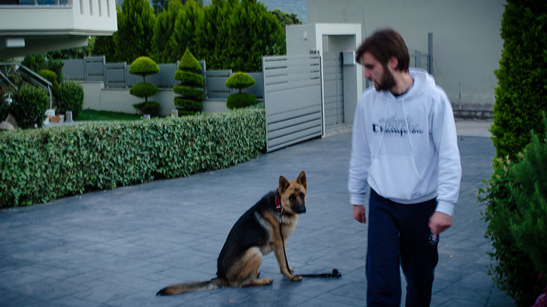 oscar dog trainer