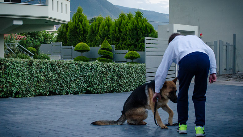 oscar dog trainer